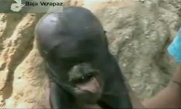 Những[-]sinh[-]vật[-]kỳ[-]dị[-]mang[-]khuôn[-]mặt...[-]"con[-]người"[-]3